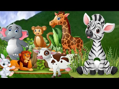 Funniest animals – Cow, elephant funny videos, Monkey, Giraffe, Zebra, rabbit, Zoo animal |