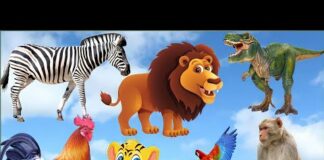 Animals Videos, Dinosaur, tiger, zebra, elephant, monkey, chicken, animals, #animalsvideo