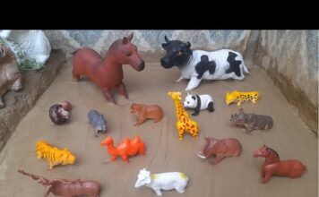 Our mud ground two special characters big dancing cow and big cute horse and along with wild animals