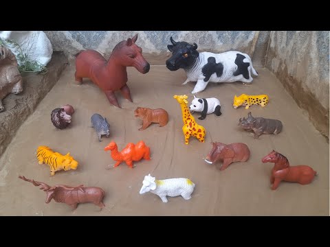Our mud ground two special characters big dancing cow and big cute horse and along with wild animals