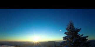 Free Background videos sunrise from a snowy hill with pine trees