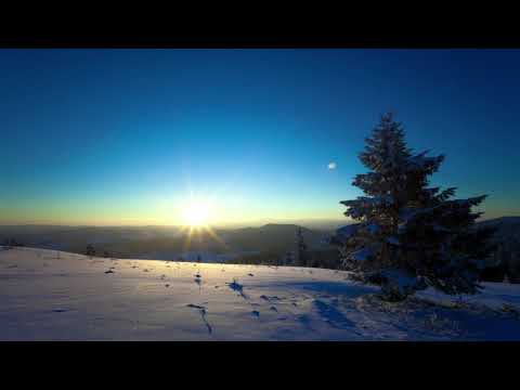 Free Background videos sunrise from a snowy hill with pine trees