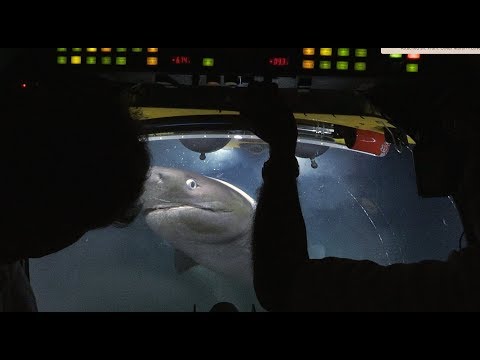 Sharks Attack Submarine | Blue Planet II Behind The Scenes
