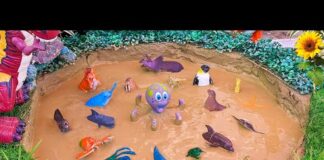Big Sea Animal Laughing Octopus Triceratops Water Animals Insects Sea Animals Stuck in Mud