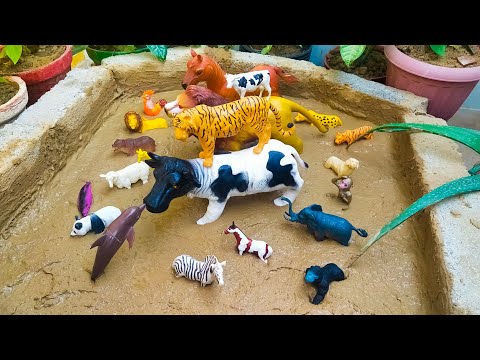 Plastic Toy Wild Cow Tiger Lion Horse Dolphin and Other Wild Animals Stuck in the Sandbox