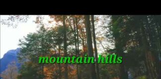 😊Beautiful Nature Video 😍|| Mountain Hills 😊