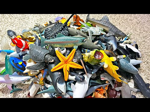 Sea Animals Collection – Shark, Whale, Dolphin, Clownfish, Squid, Octopus, Crab, Lobster