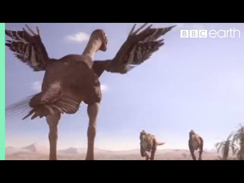 Oviraptorid Defends Her Nest from Predators | Planet Dinosaur | BBC Earth