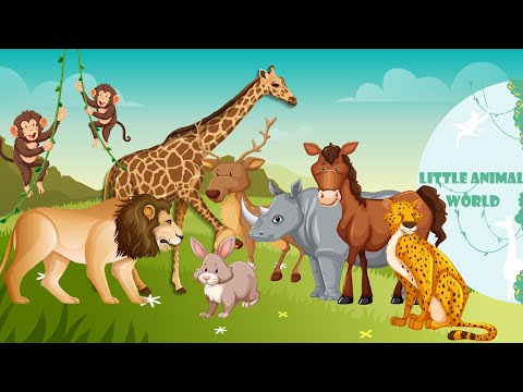 Learn Sounds and Names Funny Animals: Lion, Rhinoceros, Monkey, Deer, Rooster, Dog, Cheetah, Rabbit