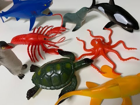 Learn Sea Animal Names with dolls and video
