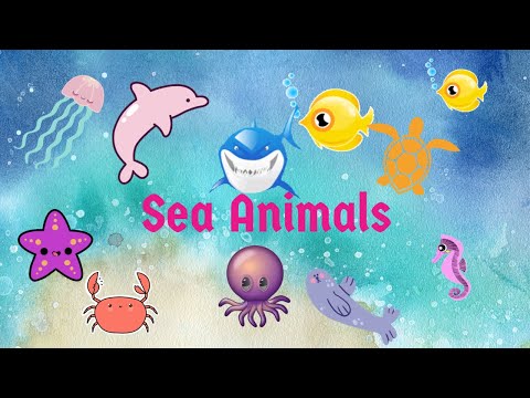 Sea Animals| learn about sea creatures| sea animal names| sea vocabulary| sea animals with spellings