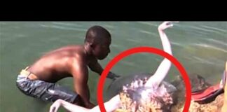 He finds Real Life Mermaid… Then This Happens..