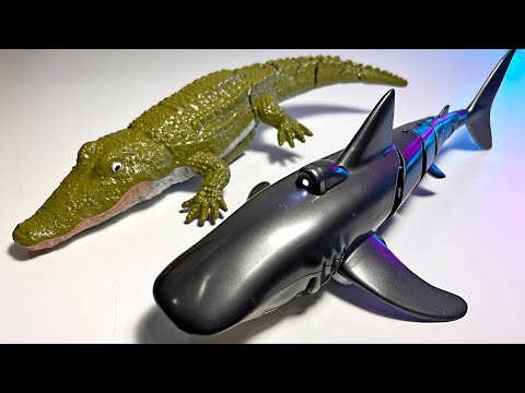 Remote Control Sea Animals – Shark and Crocodile