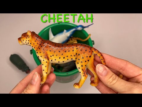 Wild & Fierce Animal Toy Figurines – Learning Animal Names – Educational and fun for Kids