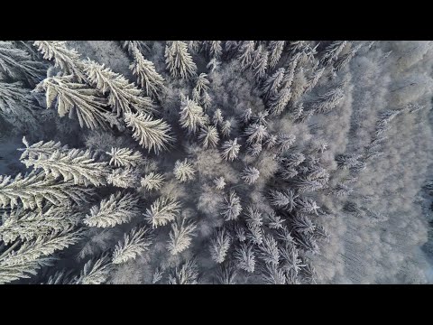 Long aerial shot over snowy Black Forest during sunset | (Full HD)