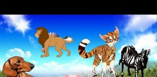 Cute Animal Compilation Lion, Tiger, parrot, pantheer   @animal30min