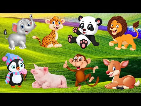 Familiar Animal Sounds-Elephant,Tiger, Panda,Lion,Penguin,Pig,Monkey,Deer,   Animal Video Part-6