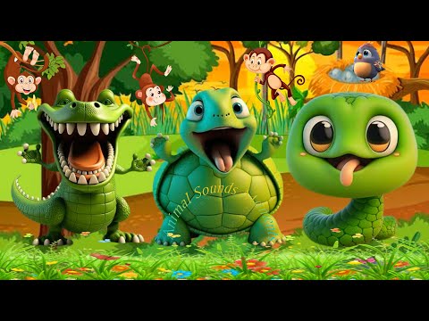 Funny And Cute Animal Sounds Moments – Crocodile, Turtle, Snake, Monkey, Bird, Cow, Sheep, Cat, Etc.