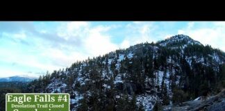 #4 Snow at Eagle Falls Tahoe Pomskie Hiking with German Shepherd Series Part 4 of 4 Hiking with Dog