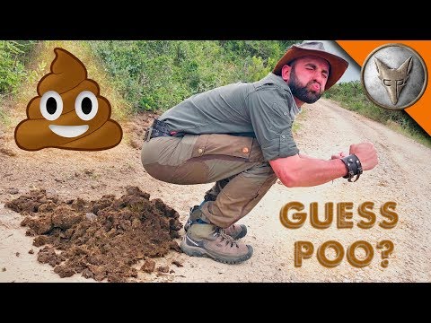 GUESS POO? …who DUMPED it?!