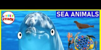 Learning Aquatic Animals – Fishing game, Videos for kids, Sea animals [Shark, Dolphin..] | 바다 동물