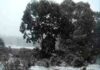Snowing in Highlands – Tasmania