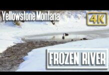 Calming Sounds of Frozen Yellowstone River in Montana to Sooth your day