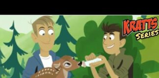 WILD KRATTS – deer buckaroo – full episode – English – KRATTS SERIES – desenho sobre animais