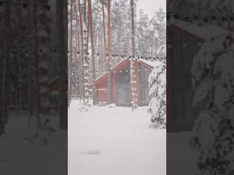 Beautiful snow status nature video must watch #natureshortvideo #piyankachauhan2.0 #shorts #shorts