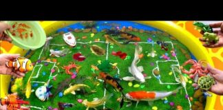 Cute Animals Collection, Clownfish, Great White Carp, Crocodile, Goldfish, Penguin, Crab, Shark,Frog