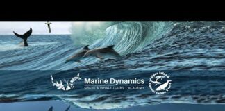 Marine Evening July 2023: Q&A Session with our Scientific Team