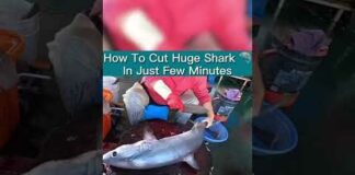How To Cut Huge Shark 🦈 In Just Few Minutes #2