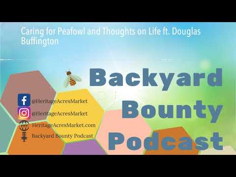 Caring for Peafowl and Thoughts on Life ft. Douglas Buffington (Backyard Bounty Podcast EP 15)
