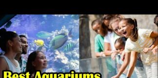 Best Aquariums to Visit In USA [2022]