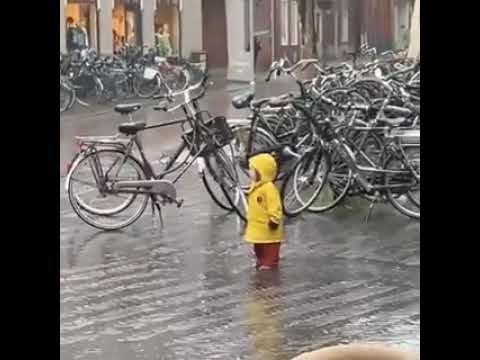 Meanwhile in The Netherlands #shorts #youtubeshorts #shortsfeed #viral