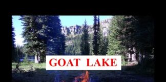 Packgoats into Goat Lake Idaho | Bitterroot Mountains