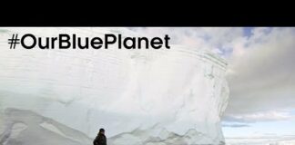 Explore Antarctica With A Top Expedition Leader #OurBluePlanet – BBC Earth
