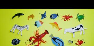 Learn Animal Names, Animal Toys, Animals For Kids, Sea Animals, Wild Zoo, Farm, Animals For Toodlers