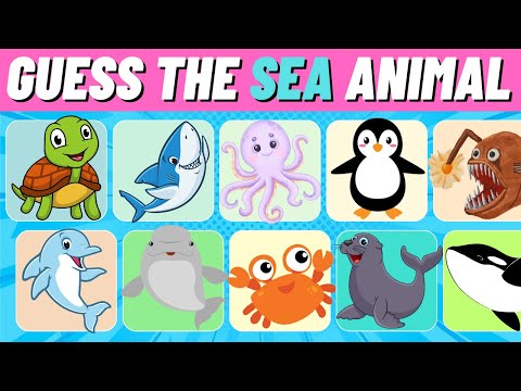 Guess The Animal – Sea Animals Edition 🐋 | Guess The Animal Challenge