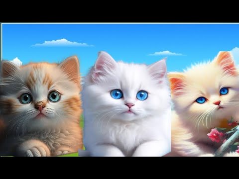 animal sounds , animal sound , cat sound , cute little animals sound , cat funny videos for kids