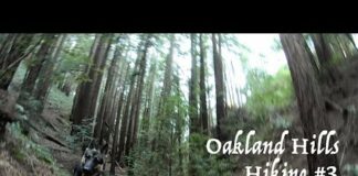 Hiking with a Dog Oakland Hills Hiking with German Shepherd Part 3 of 4