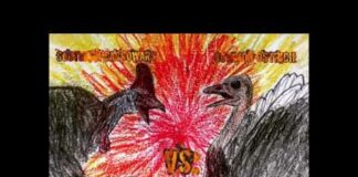 Southern Cassowary Vs. Common Ostrich!