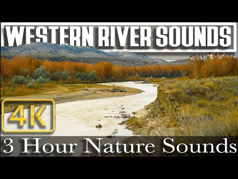 4K – 3 HR – Relaxing Western River Sounds – Wind and Water – Montana For Sleep and Calm