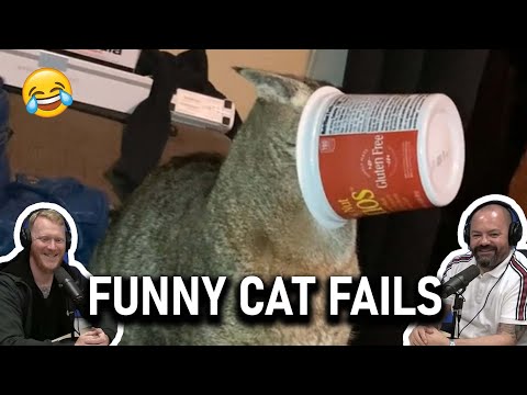 Funny Cat Fails REACTION!! | OFFICE BLOKES REACT!!