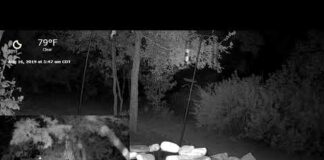 Live Cam & Sounds of the Texas Hill Country Darkness! Wildlife & Feeder Bandits!  #wildlife #ASMR