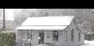 Foxglove cottage snow