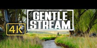 4K 8hr – Gentle Water Sounds for Sleeping in Montana – Mediation Calm & Stress Relief