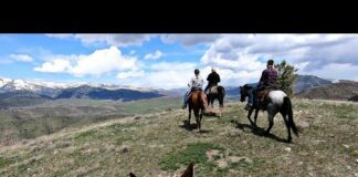 Horseback riding Cache National Forest, Utah May 2020