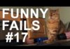 Cats Funny Moments with sound effects – compilation