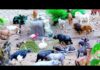 Huge Toy Zoo Wild Animals Figurines Collection – Animals